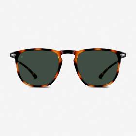 Gafas de Sol Dino