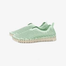 Tenis Planos Tulip Laurel Verde 38