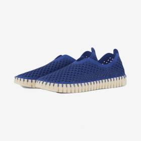 Tenis Planos Tulip Azul Web 37
