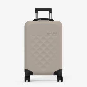 Carry On Flex 360 Gris Pequeño