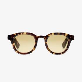 Gafas Sun Andy Carey