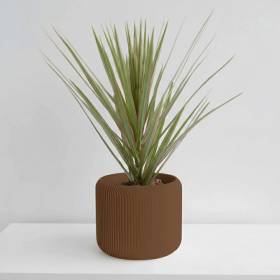 Matera Pine 19X15 Arena